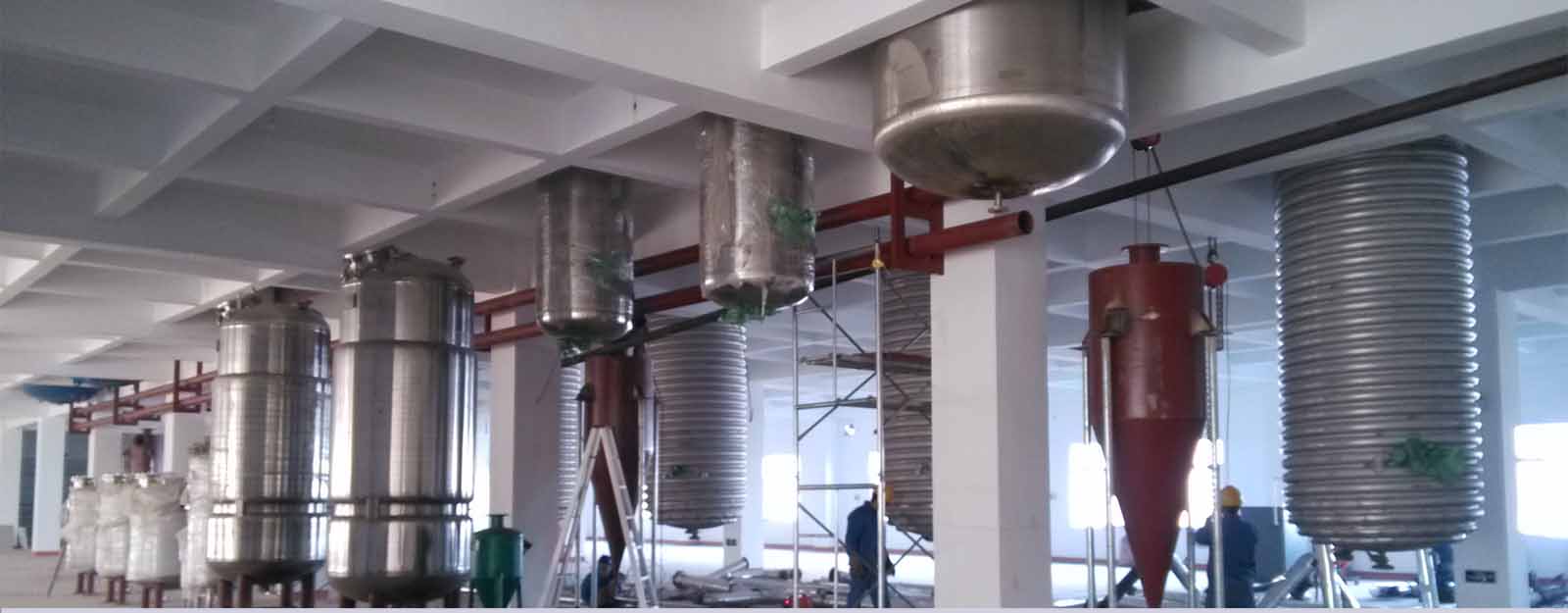 c(din)鿴ԔϢ}biochem1 xΔ2771